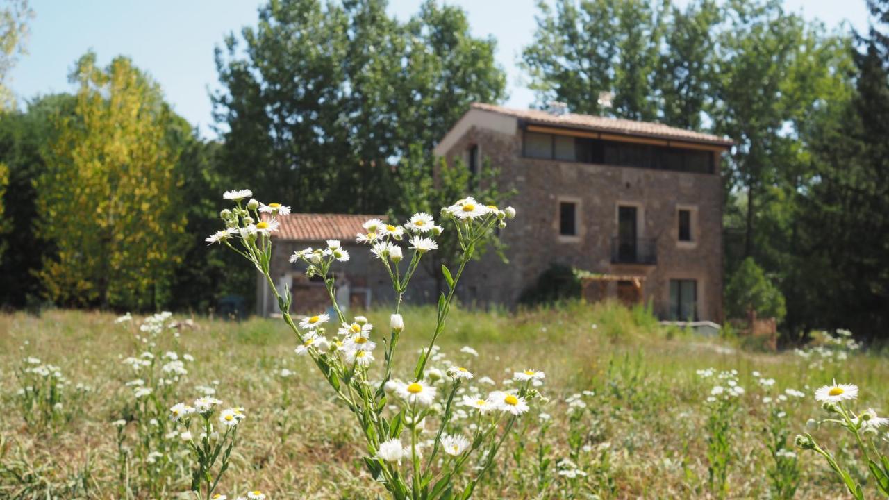 Ca N'Aliguer Casa de hóspedes Ripoll Exterior foto